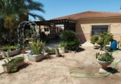 Chalet independiente con terreno en venta en la España, Crevillente, ref: TR388049 foto