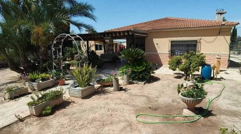 Alicante - Crevillente - 2000m2