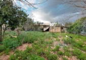 Xalet independent amb terreny en venda a la España, Sencelles, ref.: TR399755 foto
