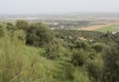 Parcela urbanizable en venta en la Carretera Palma del Río, Almodóvar del Río, ref: TR383640 foto