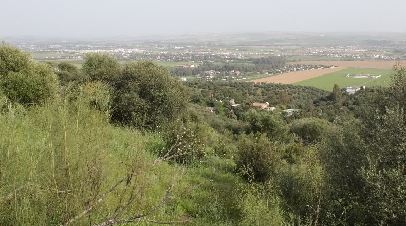 Córdoba - Almodóvar del Río - 60000m2