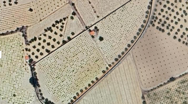Альбакете - Munera - 18000m2
