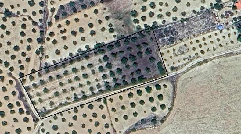Альбакете - Munera - 5800m2