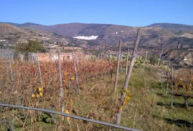 Padules 12000&nbsp;m² 