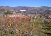 Land with ruins for sale on Camino Boliñeva, Padules, ref: TR383645 photo