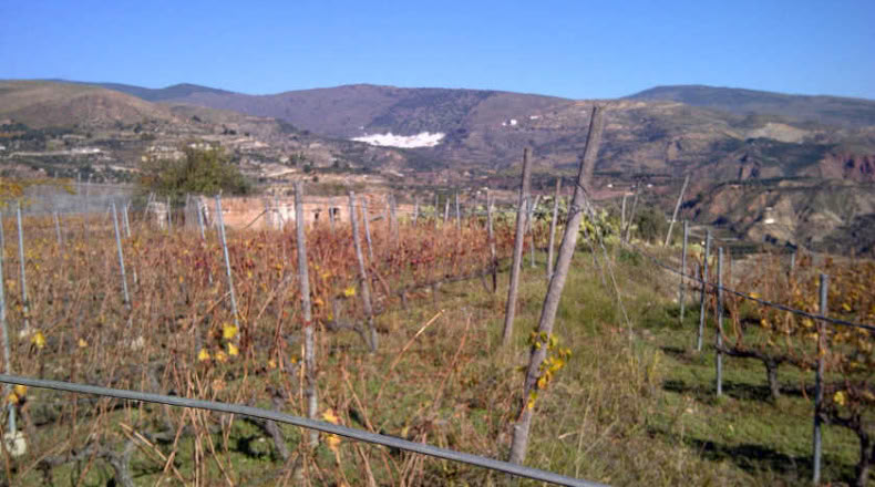 Almería - Padules - m2
