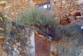 Padules 12000&nbsp;m² 