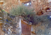 Land with ruins for sale on Camino Boliñeva, Padules, ref: TR383645 photo