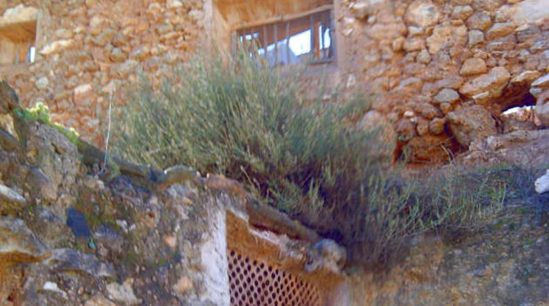 Almería - Padules - m2