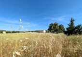 Sòl urbà en venda a la España, Linares, ref.: TR385449 foto