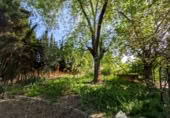 Casa de camp amb terreny en venda a la España, Linares, ref.: TR385228 foto