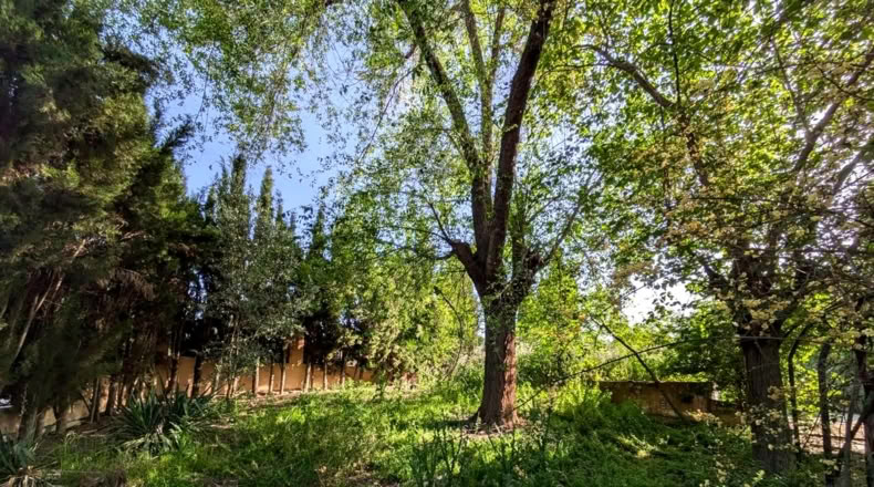 Хаэн - Линарес - 1917m2