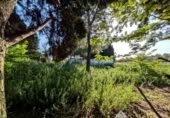 Casa de camp amb terreny en venda a la España, Linares, ref.: TR385228 foto