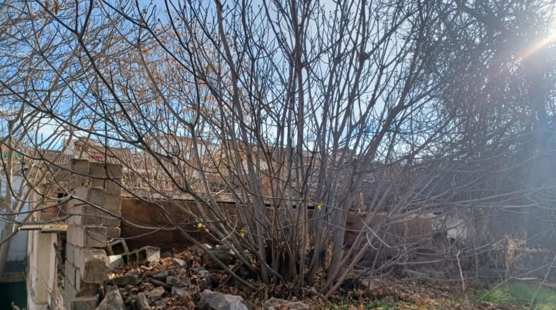 Granada - Guadix - 1061m2
