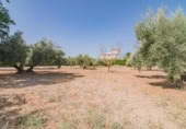 Villa with land for sale on España, Atarfe, ref: TR386493 photo