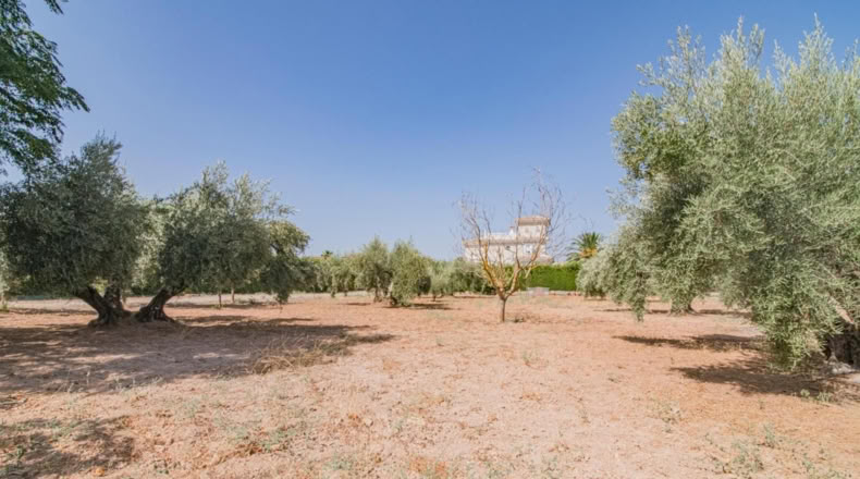 Granada - Atarfe - 2783m2