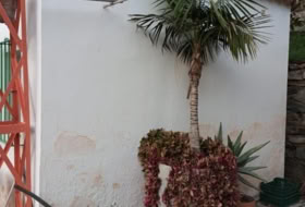 Almuñécar 16503&nbsp;m² 