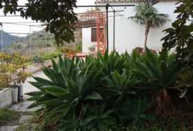 Almuñécar 16503&nbsp;m² 