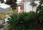 Casa de campo con terreno en venta en la España, Almuñécar, ref: TR386171 foto