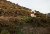 Casa de campo con terreno en venta en la España, Almuñécar, ref: TR386171 foto