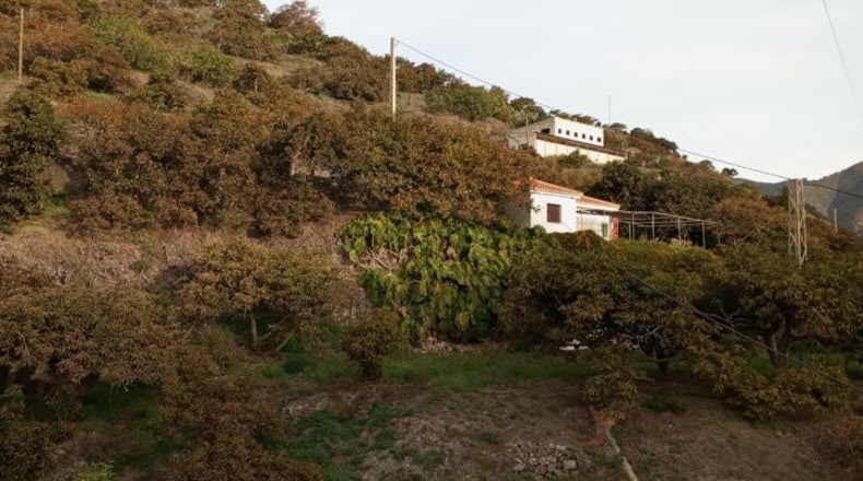 Lugo - Begonte - 16503m2