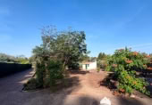 Casa de camp amb terreny en venda a la España, Marmolejo, ref.: TR387808 foto