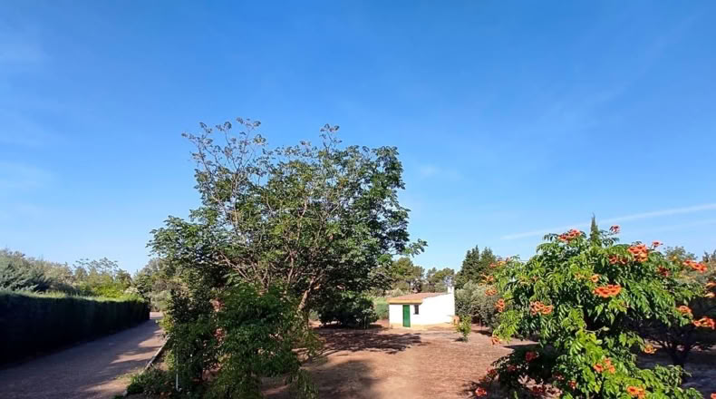 Salamanca - Linares de Riofrío - 2298m2