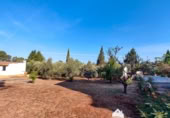 Casa de camp amb terreny en venda a la España, Marmolejo, ref.: TR387808 foto