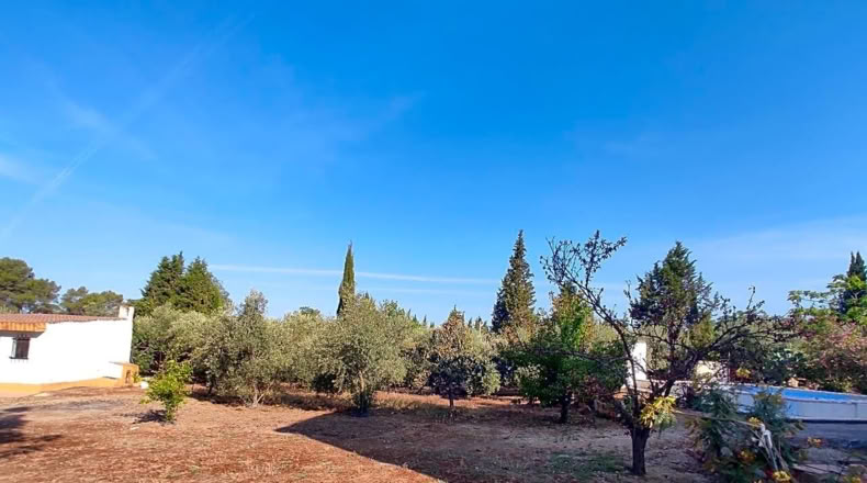 Salamanca - Linares de Riofrío - 2298m2
