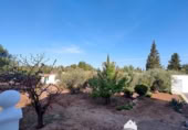 Casa de camp amb terreny en venda a la España, Marmolejo, ref.: TR387808 foto