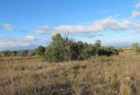 la Pobla de Vallbona 19625&nbsp;m² 