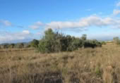Parcela urbanizable en venta en la España, La Pobla de Vallbona, ref: TR393912 foto