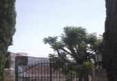Chalet independiente con terreno en alquiler en la España, Baena, ref: TR398356 foto