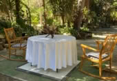 Detached villa with land for rent on España, Catral, ref: TR398404 photo