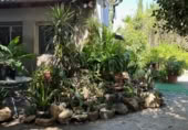Detached villa with land for rent on España, Catral, ref: TR398404 photo