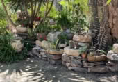 Detached villa with land for rent on España, Catral, ref: TR398404 photo