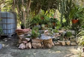 Foto 7