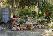 Detached villa with land for rent on España, Catral, ref: TR398404 photo
