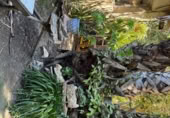 Detached villa with land for rent on España, Catral, ref: TR398404 photo