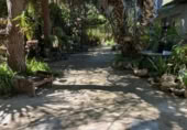 Detached villa with land for rent on España, Catral, ref: TR398404 photo