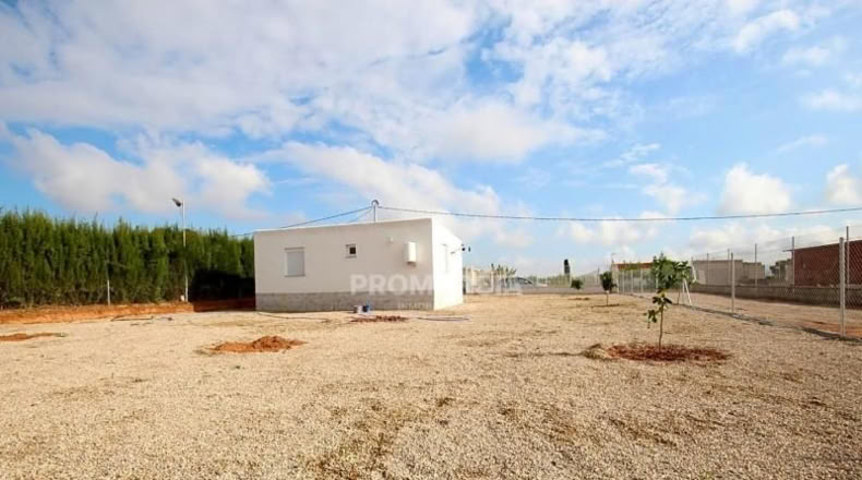 Murcia - Murcia - 2000m2