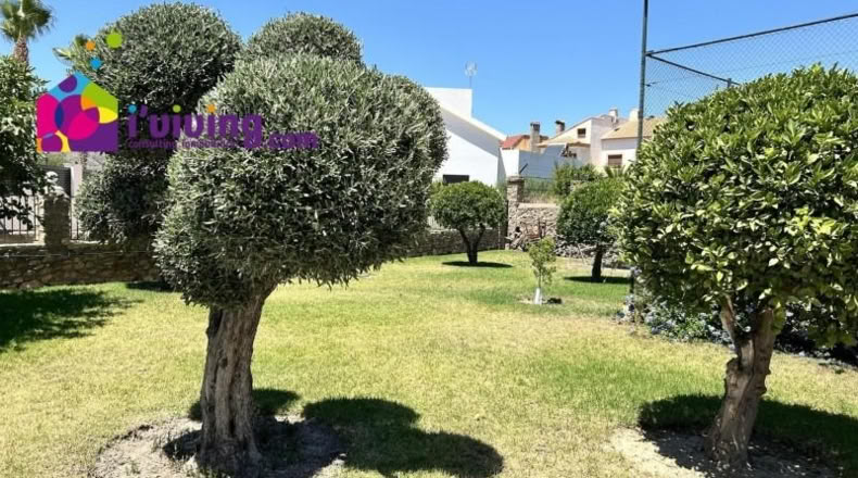 Almeria - Cantoria - 980m2