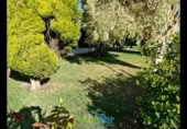 Detached villa with land for rent on España, Salobreña, ref: TR398747 photo