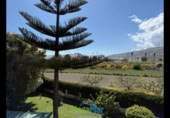 Detached villa with land for rent on España, Salobreña, ref: TR398747 photo