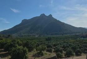 Foto 8