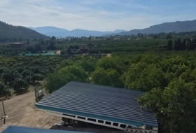 Foto 9