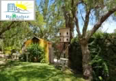 Casa de camp amb terreny en lloguer a la España, Jerez de la Frontera, ref.: TR399020 foto