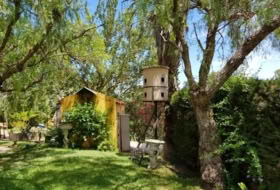 Foto 8