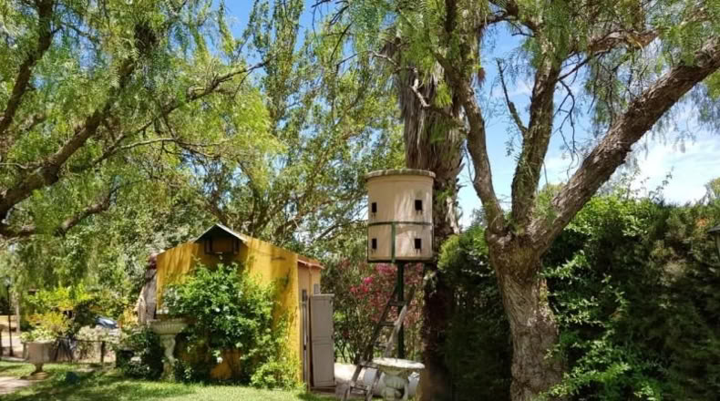 Cádiz - Jerez de la Frontera - 8000m2
