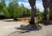 Casa de camp amb terreny en lloguer a la España, Jerez de la Frontera, ref.: TR399020 foto